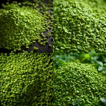 Photo Of Green Fenugreek Seeds, Flavorful And Herbal, Captured With A Telephoto Lens For Artistry Generative AI