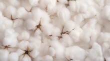 Cotton Swabs Close Up