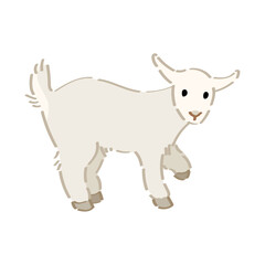 Wall Mural - Cute baby goat on white background
