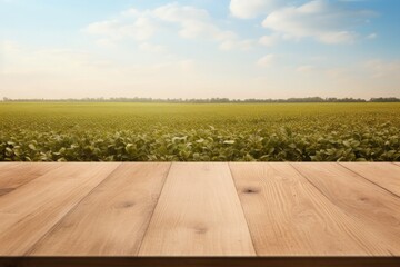 Empty rustic top wood table at gripening soybean field, There is space to place products.