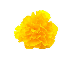 Wall Mural - Yellow paper flower isolated on white background. Handmade or handcrafted and designed. Beautiful object