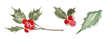 Winter And Christmas Plants.holly Elements With Green Leaves And Red Berries On A White Background, A Branch, A Bunch Of Berries And A Separate Leaf.Hand Drawn Watercolor Image For The Design Of Cards