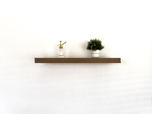 Small Garden On Top Of Wood Shelf At White Background
