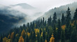 Beautiful natural landscape - hills with foggy fir forest - web banner