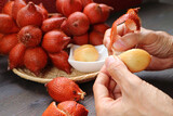 Hand Peeling Salak Fruit (Salacca Zalacca) with Blurry Fruit Clusters in the Backdrop