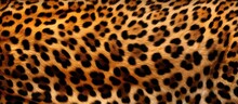 Spotted Skin Pattern Of A Big Cat