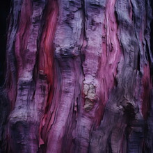  Tree Trunk With An Amazing Purple Bark, In The Style Of Dark Indigo And Light Crimson, Dusty Piles
