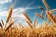 小麦畑と青空 Generative AI