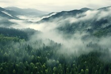 Aerial View Of A Misty Forest On A Foggy Day.