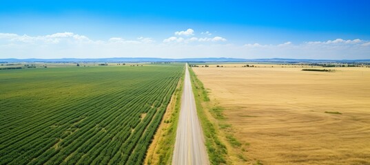 Wall Mural - Road between the agriculture farm field with panoramic mountains background. Generative AI technology.