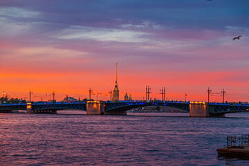 Wall Mural - Palace Bridge and Peter and Paul Cathedral in St. Petersburg on a white night.