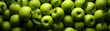 arrière-plan entièrement rempli de pommes vertes - bannière web