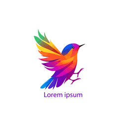 Wall Mural - colorful bird logo gradient vector