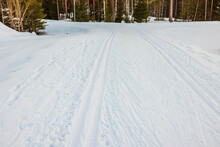 Beautiful Views Of Winter Nature With Ski Track In Forest. Sweden. Europe.