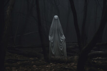 In The Style Of A Haunting Composition, A Ghostly Figure Haunts The Woods.