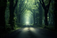 A Scenic Forest Road With A Captivating Light At The End