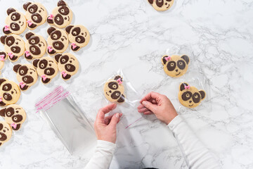 Wall Mural - Panda shaped shortbread cookies with chocolate icing