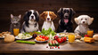 Not being picky about food when it comes to choosing the right pet food is crucial Not Being Picky About Food 8k.