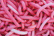 Pink rubber cords as a background, close-up, top view