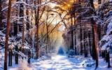 Fototapeta Na ścianę - Beautiful winter landscape for natural nature background. AI Generative