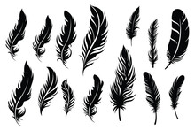 Black Fluffy Feather. Hand Drawing Vintage Art Realistic Quill Feathers For Pen Detailed Isolated Vector Elegant Silhouette Sketch Bird Plume Set