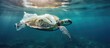 Plastic pollution in the open sea caused by a turtle consuming a plastic bag underwater