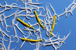 Image of white and yellow interdental brushes and toothpicks with thread on a blue background across the entire field of the frame.