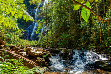 Wall Mural - Rivers and waterfalls through dense forest vegetation in the state of Minas Gerais, Brazil