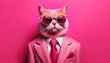 canvas print picture - Photo against a bright pink background showcasing a cat fully embracing the color.