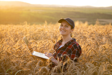 Woman farmer working with laptop on wheat field. Smart farming and digital agriculture..