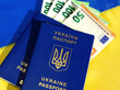 © Natalia - Ukrainian passports and euro currency against the background of the Ukrainian flag.