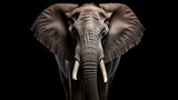 Fototapeta Mapy - Elephant isolated on black