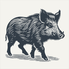 Wall Mural - Wild hog. Vintage woodcut engraving style vector illustration.