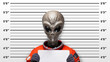 Close-up mugshot of a stereotypical gray-skinned, large-eyed alien wearing an orange spacesuit, standing against a height measurement backdrop with an empty name sign