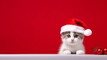 Cute Kitten Cat In Santa Claus Christmas Red Hat Isolated On Red Background