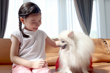 Happy smiling little cute girl playing with her fluffy white Pomeranian dog while sitting on the sofa in the living room. Kid with pet at home, child enjoy spending time with lovely animal friend.