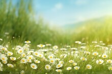 Beautiful Wild Flowers Chamomile. Spring Summer Background. Landscape Wide Format, Copy Space, Warm Green Colors. Generative Ai.