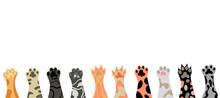 Sequential Vector Cat Paws Background. Empty Copy Space.