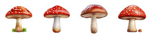 Mushroom Clipart Collection, Vector, Icons Isolated On Transparent Background