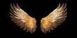 Demon Angel shiny golden hell Wings isolated on black