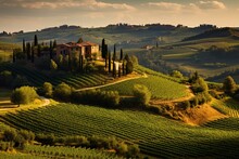 Tuscan Countryside With Vineyards, Cypress, And Hills Between Siena And Florence, Italy. Generative AI