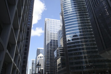 Canvas Print - Skyscrapers in the downtown of Chicago, Illinois