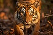 Close-up of a tiger in Tadoba National Park, India. Generative AI