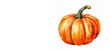 © Helen-HD - Orange pumpkin on a white background with space for text. Pumpkin on white watercolor illustration. Thanksgiving background. Halloween backdrop.