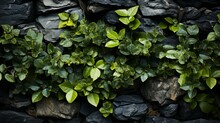 Close-up Of A Stone Wall Adorned With Green Leaves. Generative AI
