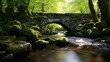 © KWY - A picturesque stone bridge spanning a tranquil stream in the heart of a lush forest