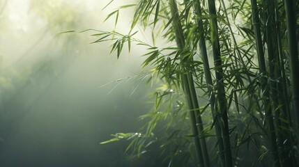 Poster - A vibrant cluster of bamboo plants up close