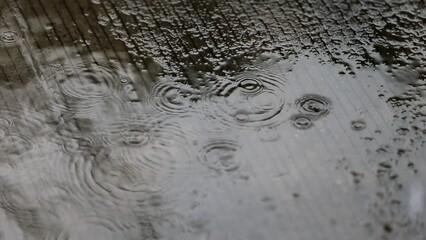 Wall Mural - Raindrops on the surface of the asphalt. footage