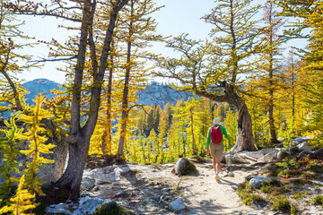 Sticker - Hike in autumn season