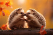 a pair of hedgehogs are kissing